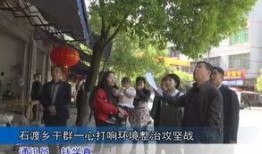 武宁新闻爆料事件,真相与舆论的交织